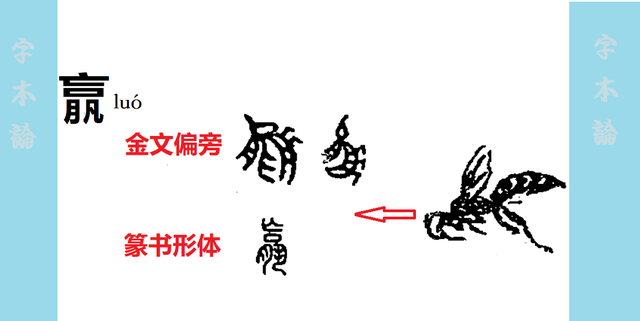 蠃羸和什么字比较像(嬴羸蠃赢这些字怎么读)图4