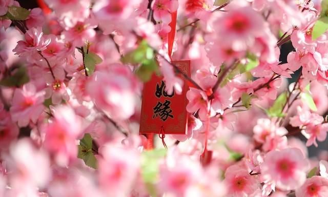 摄影标头是什么(摄像头拍摄范围)图18