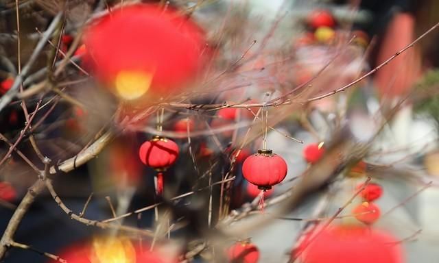 摄影标头是什么(摄像头拍摄范围)图19