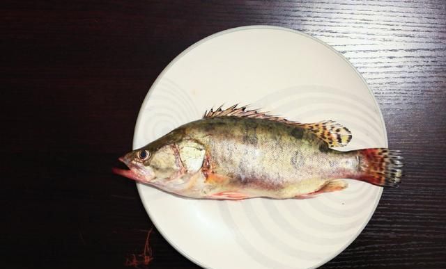 桂鱼怎么做好吃又简单家常的,鳜鱼的正确做法图12