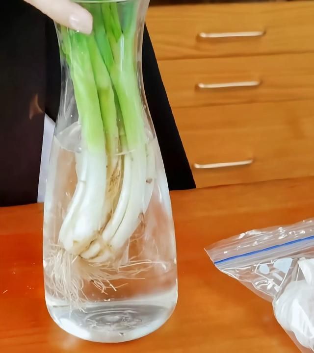 吃不完的虾放冰箱是冷冻还是保鲜图4