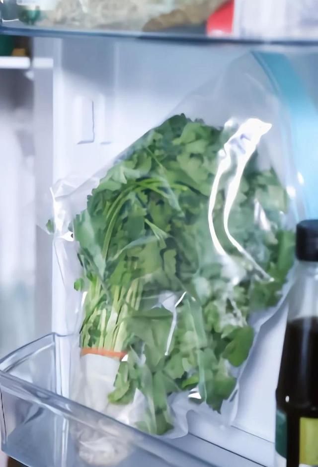 吃不完的虾放冰箱是冷冻还是保鲜图10