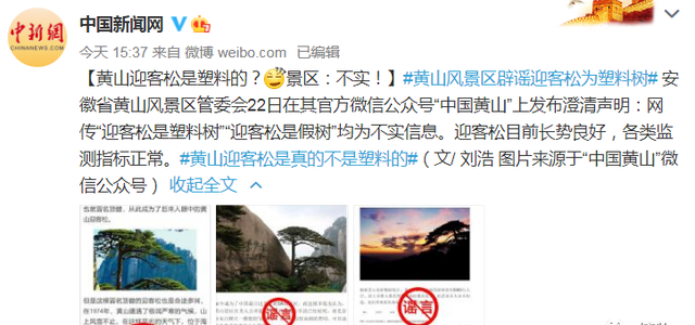 一棵树到底能活多久?有的已经活了8万岁图1