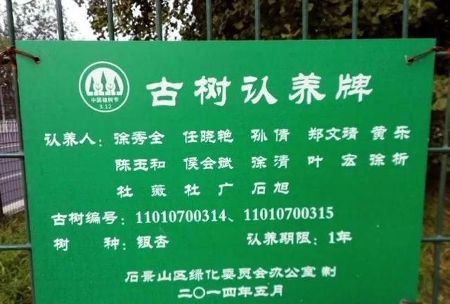 一棵树到底能活多久?有的已经活了8万岁图11