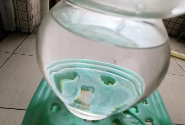 自酿糯米酒可以长期保存吗,自酿糯米酒能保存多久图5