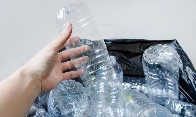 酵母粉加白糖驱蚊子是真的吗图5