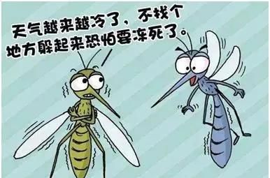 蚊子冬眠吗
,有种蚊子能越冬,你知道吗?市疾控中心专家提醒:预防蚊媒传染病 春季灭蚊早行动图1