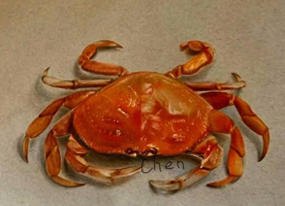手绘美食
,螃蟹、糖醋排骨、冰淇淋...95后英语老师手绘美食太逼真 馋得人流口水图3