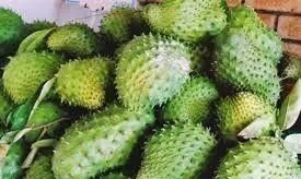 新加坡必吃的50种美食图58