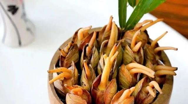 新春出游去宁波逛美景尝美食(宁波风景好宁波美食更好你了解么)图20