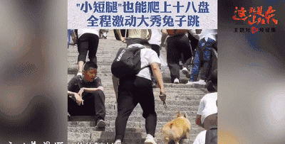 山东的美景美食照片,山东美食美景攻略图图13