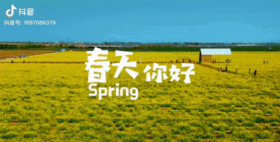 山东的美景美食照片,山东美食美景攻略图图15