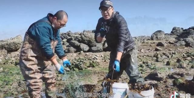 山东的美景美食照片,山东美食美景攻略图图20