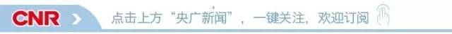 白银盘青螺上一句是什么,白银盘里一青螺的上一句图1