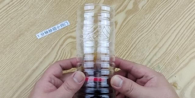 家里苍蝇比较多用什么办法能快速消灭虫子图6