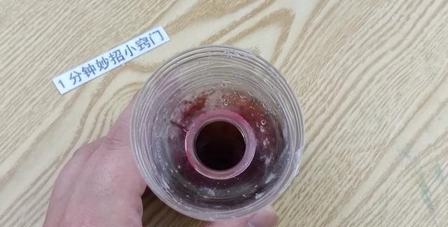 家里苍蝇比较多用什么办法能快速消灭虫子图7