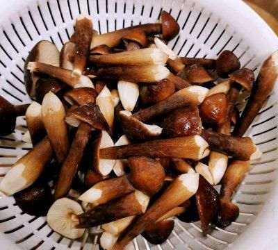 鸡枞菌炒肉丝做法(鸡枞菌炒肉的做法窍门)图7