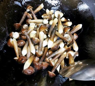 鸡枞菌炒肉丝做法(鸡枞菌炒肉的做法窍门)图9