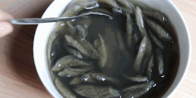 湛江美食到底有多出名?(湛江附近美食排行榜第一名)图30