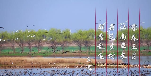 三月三日天气新是什么节日图1