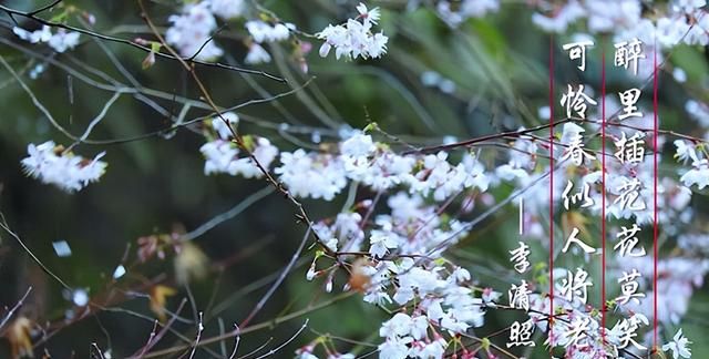 三月三日天气新是什么节日图5
