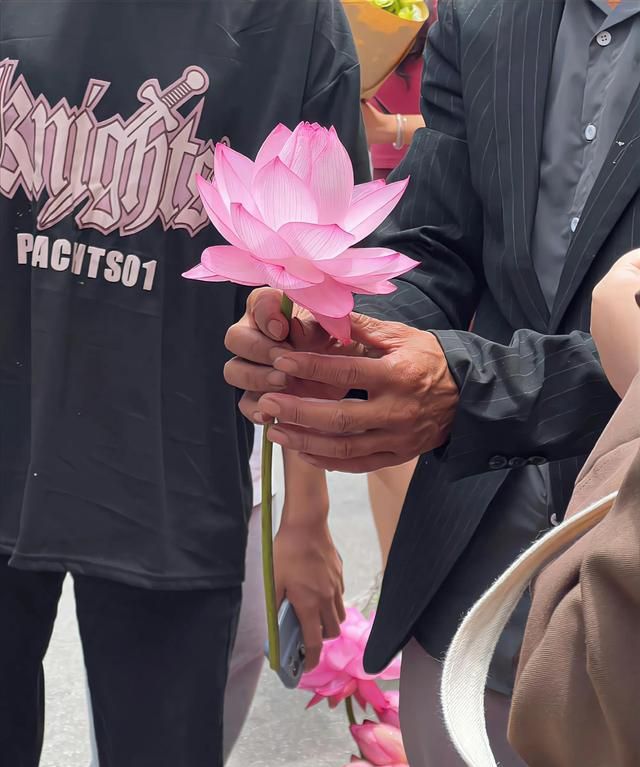 荷花不仅可以远观还可以做成美食图6