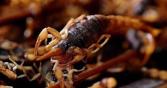 兴平美食
,咸阳兴平10大特色美食图10