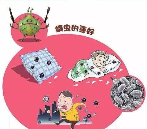 天气渐凉 如何防螨除螨虫(梅雨天被子除螨)图2