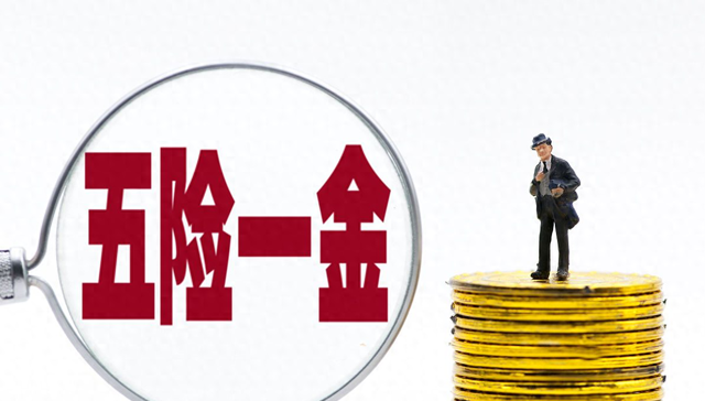 什么是五险一金?各自的含义是什么?缴纳标准是多少?图1