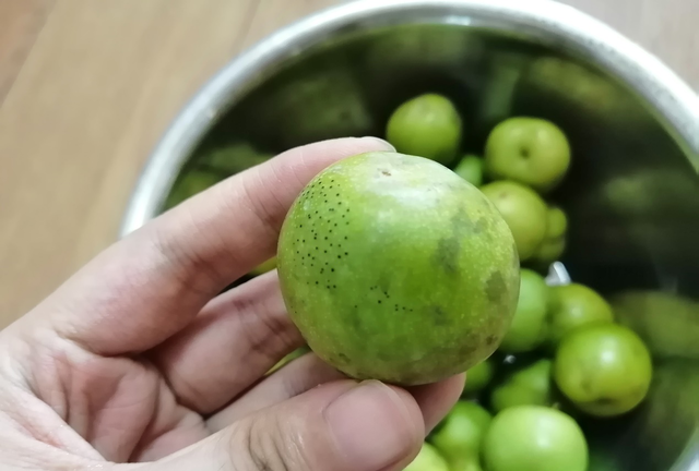 李子洗不干净可以吃吗,李子吃不完可以浪费吗图1
