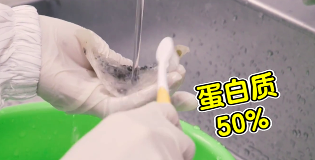 燕窝是怎么形成的看完全明白了图10