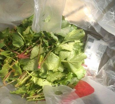 云南德宏傣族腌菜膏(腾冲和顺腌菜和德宏腌菜很像)图2