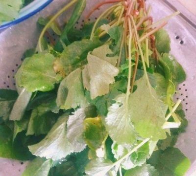 云南德宏傣族腌菜膏(腾冲和顺腌菜和德宏腌菜很像)图3