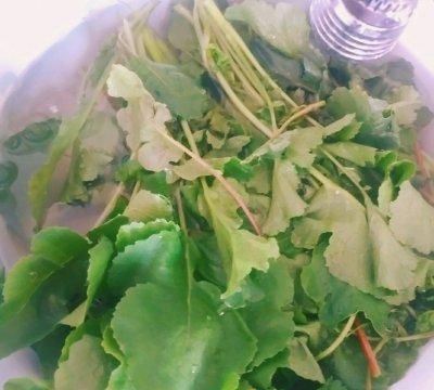 云南德宏傣族腌菜膏(腾冲和顺腌菜和德宏腌菜很像)图4