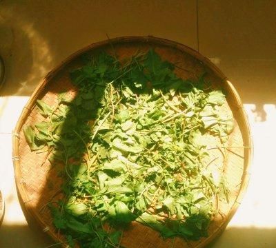 云南德宏傣族腌菜膏(腾冲和顺腌菜和德宏腌菜很像)图6