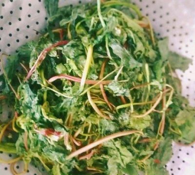 云南德宏傣族腌菜膏(腾冲和顺腌菜和德宏腌菜很像)图12