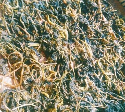 云南德宏傣族腌菜膏(腾冲和顺腌菜和德宏腌菜很像)图19