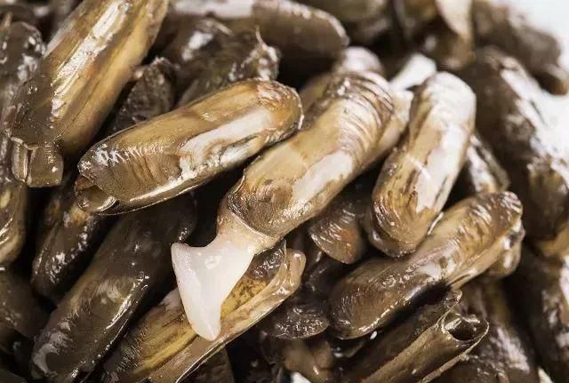 烟台莱阳美食推荐(莱阳市特色美食介绍)图3