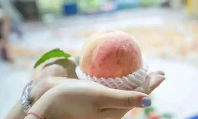 阳山水蜜桃要放冰箱保存吗图4