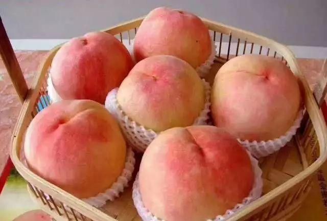 阳山水蜜桃要放冰箱保存吗图9