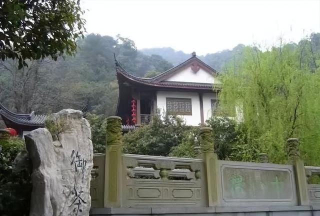 龙井茶的泡法步骤有哪些呢(龙井茶的各种泡法大全)图2