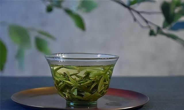 龙井茶的泡法步骤有哪些呢(龙井茶的各种泡法大全)图8