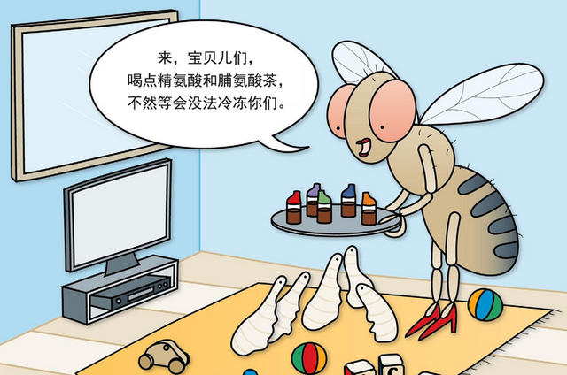 垃圾桶里凭空冒出的小飞虫是什么图3