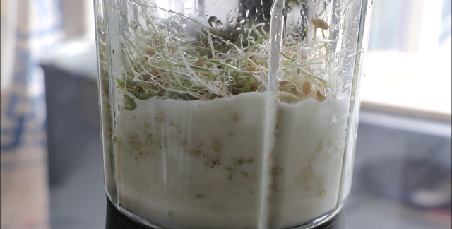 怎么制作麦芽糖不用糯米和小麦(怎么做麦芽糖不用糯米只用麦子)图7