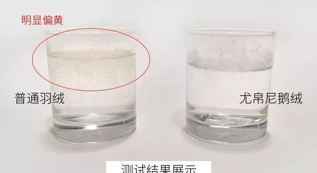 为什么五星级酒店都用鹅绒枕,希尔顿鹅绒枕为什么这么便宜图23