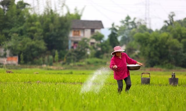 氮肥有几种,每种氮肥利用率多少图13