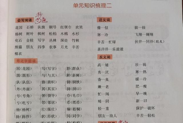 小学一二年级量词大全,小学语文量词知识点讲解图5