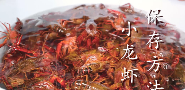 龙虾怎么保存到下半年吃(波士顿龙虾刚死几个小时怎么保存)图2