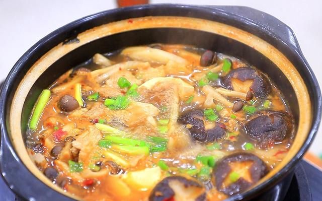 清热豆腐汤怎么做(简易豆腐汤)图22