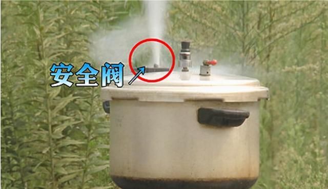 高压锅爆炸会炸死人吗(老式高压锅爆炸会炸死人吗)图2